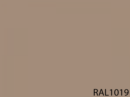 RAL 1019