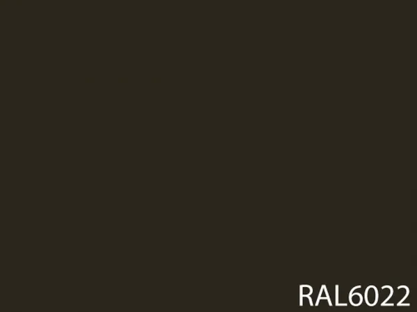 RAL 6022
