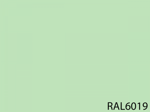 RAL 6019