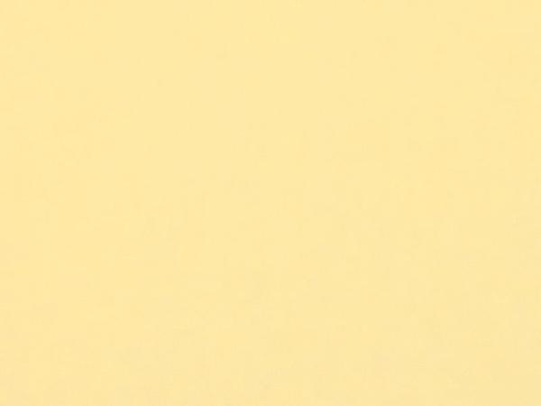 Carina 4960 - světlá meruňková