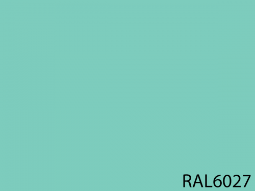 RAL 6027
