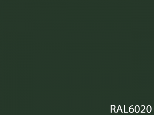 RAL 6020