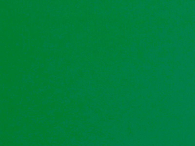 Carina 10111 - sytě zelená
